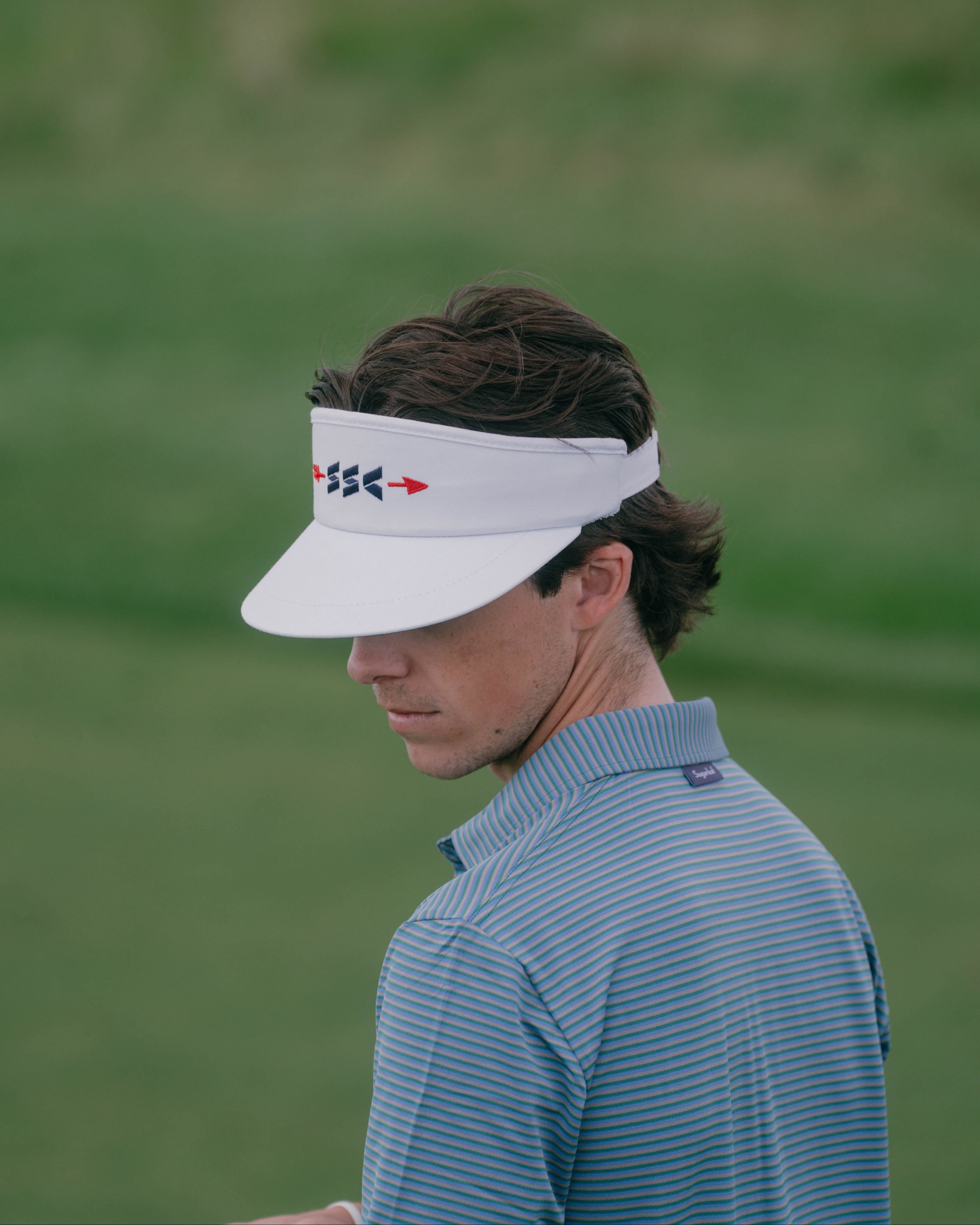 Visors