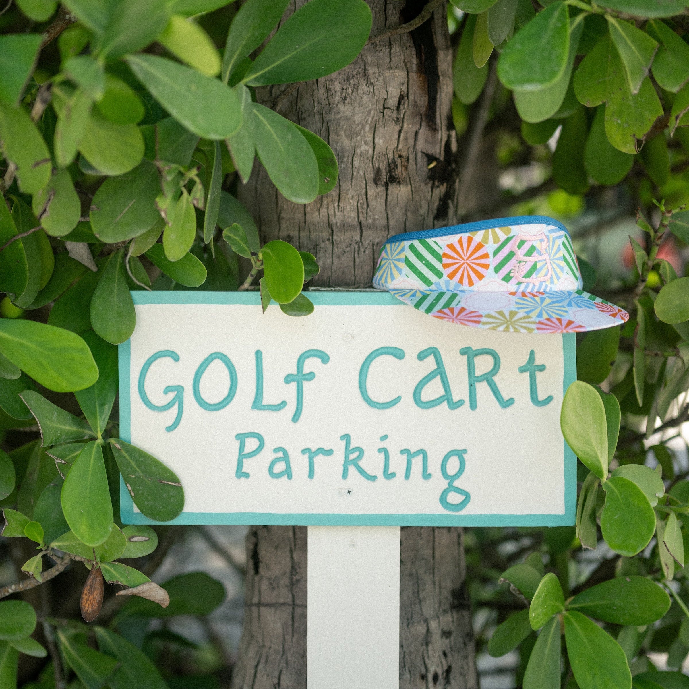golf cart parking sign and a high crown visor from ssc