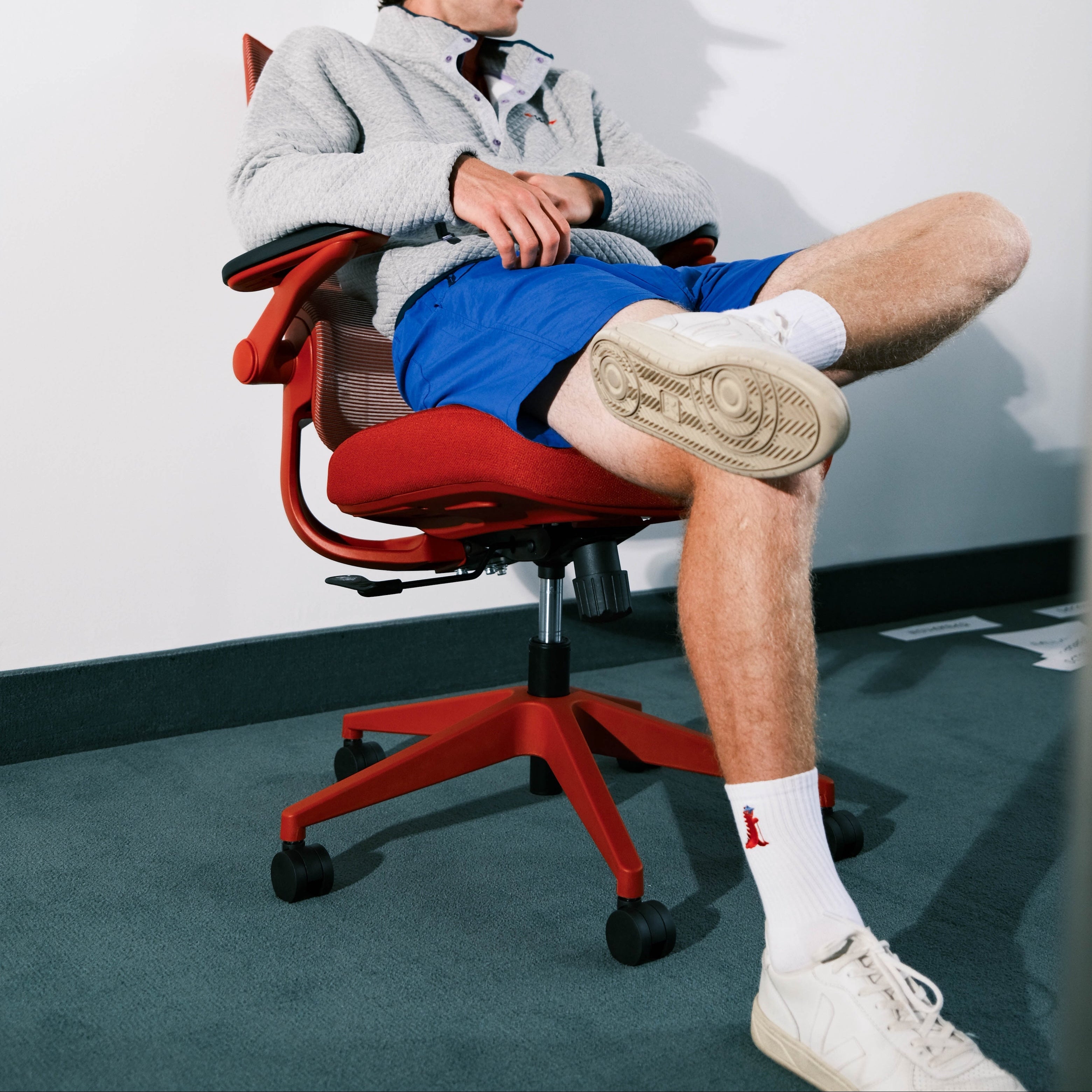 Tourasaurus Crew Socks