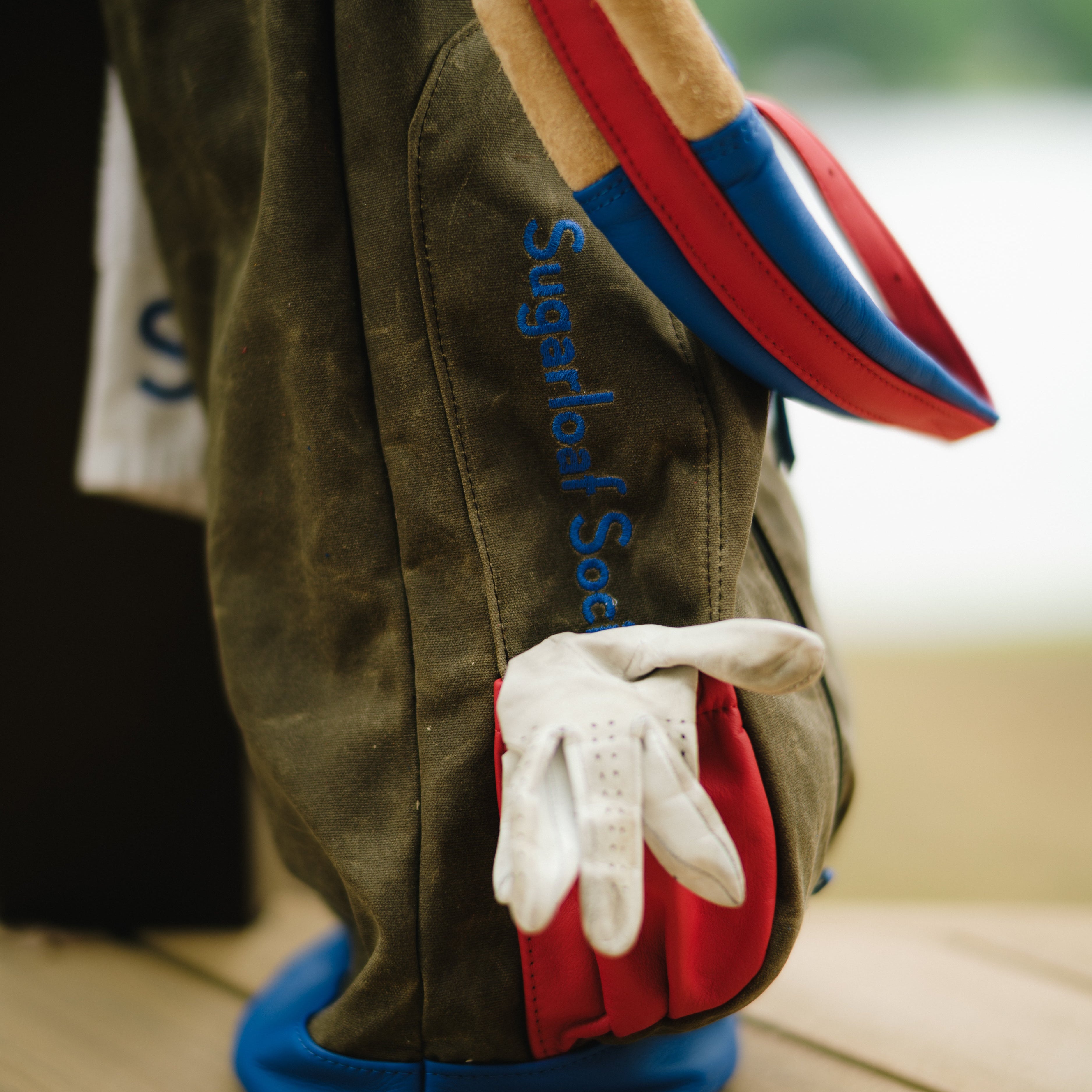 Hidden Gem MacKenzie Golf Bag