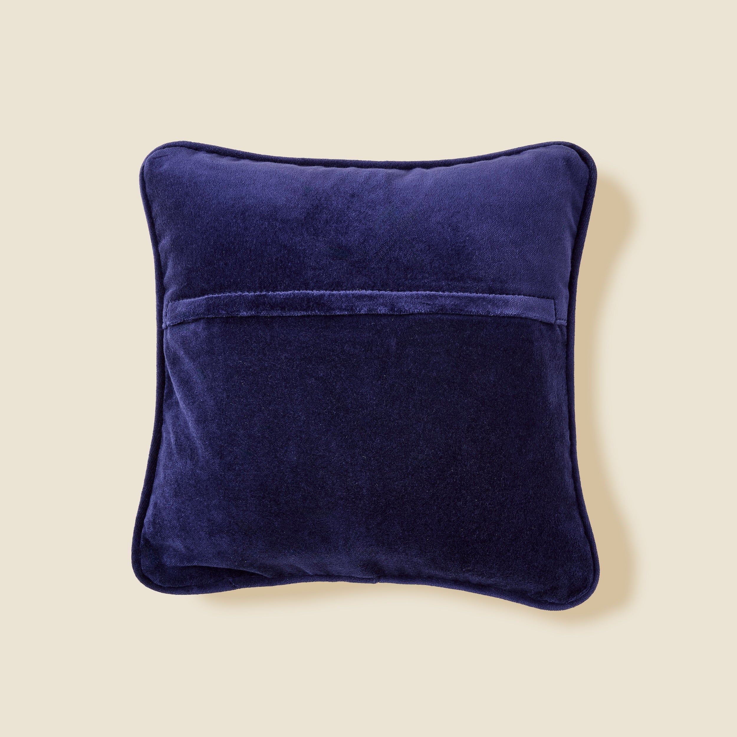 Annual Lottery Applicant Needlepoint Pillow