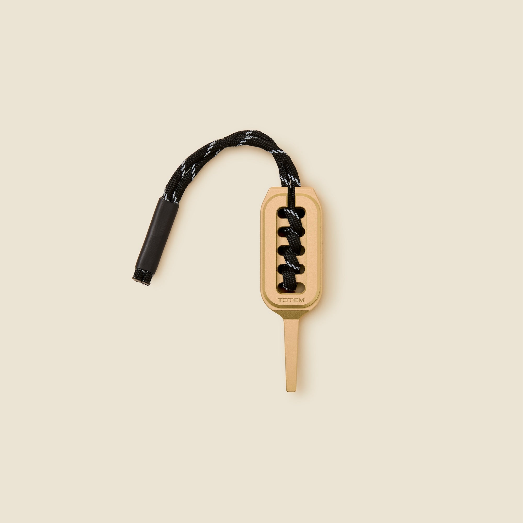 Students of SSC Brass Divot Repair Tool