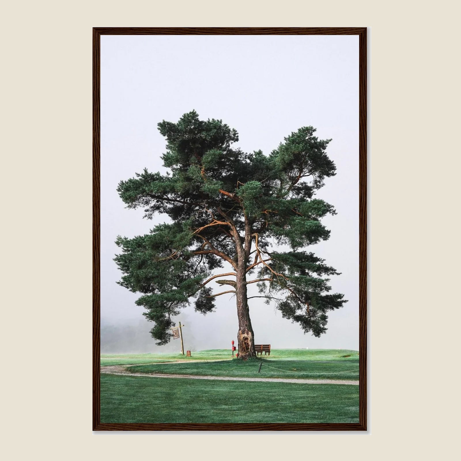 Morning Muni Tree Framed Poster