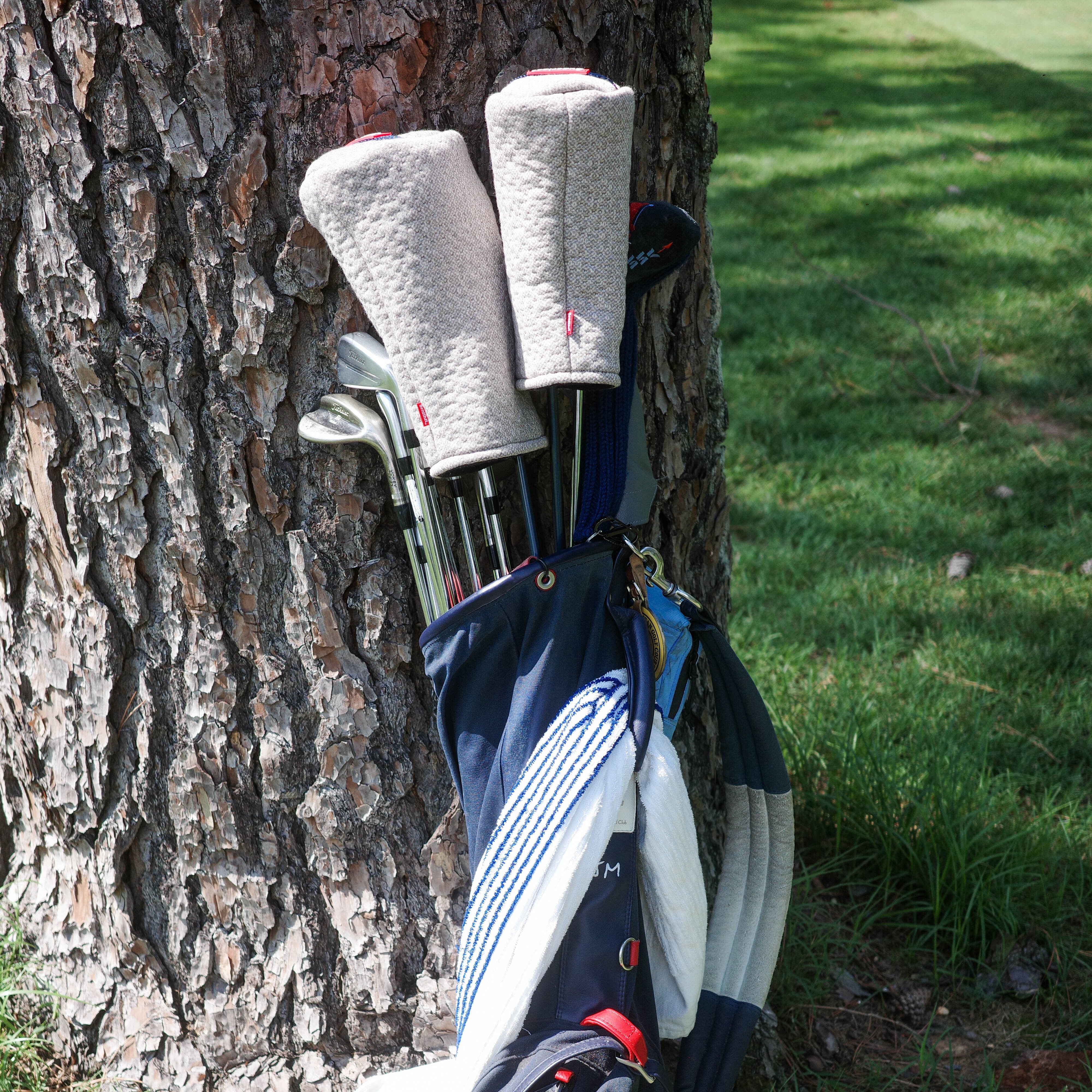 Golf clubs in a bag leaning against a tree on a grassy area