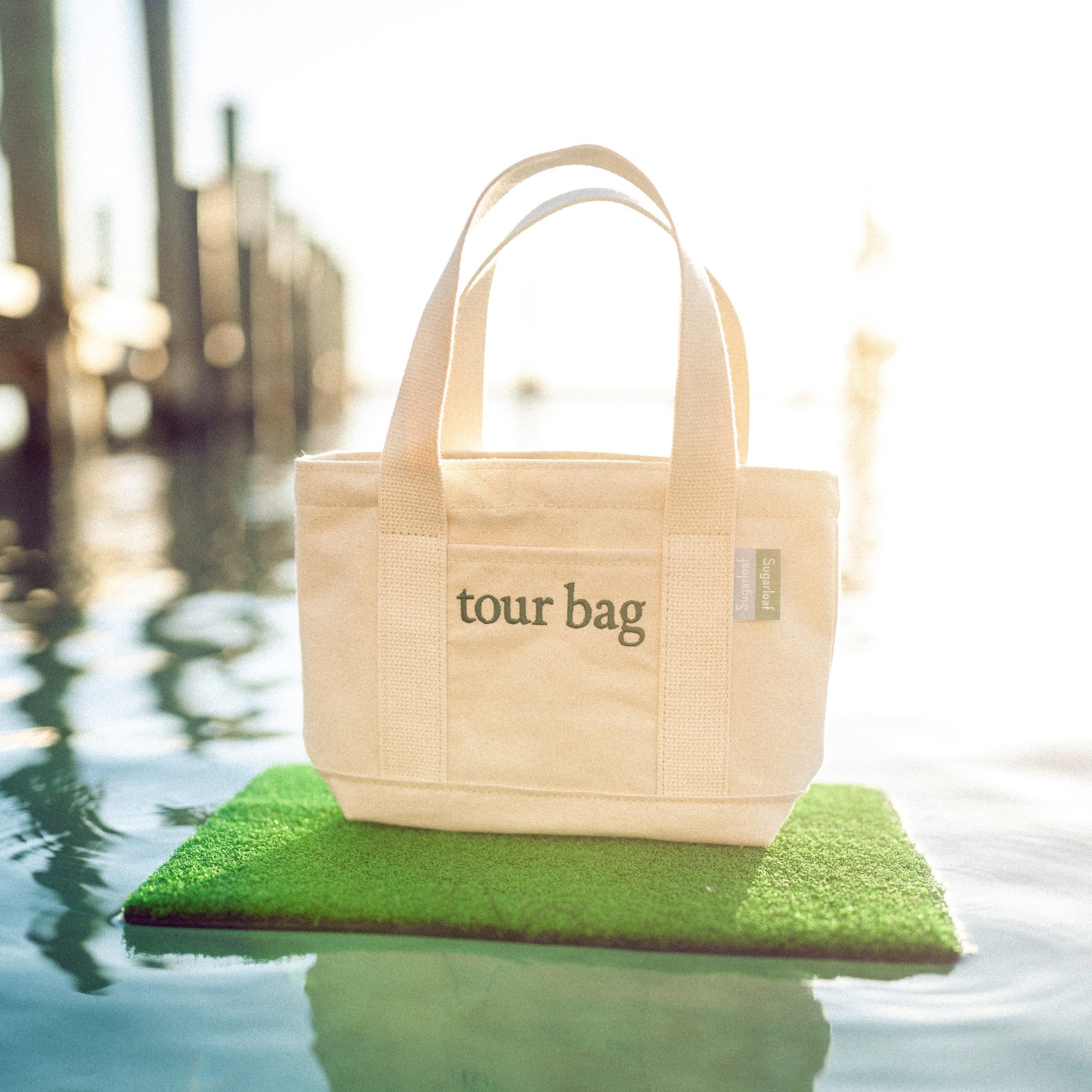 Beige tote bag labeled 'tour bag' on a grass patch with water and blurred cityscape in the background