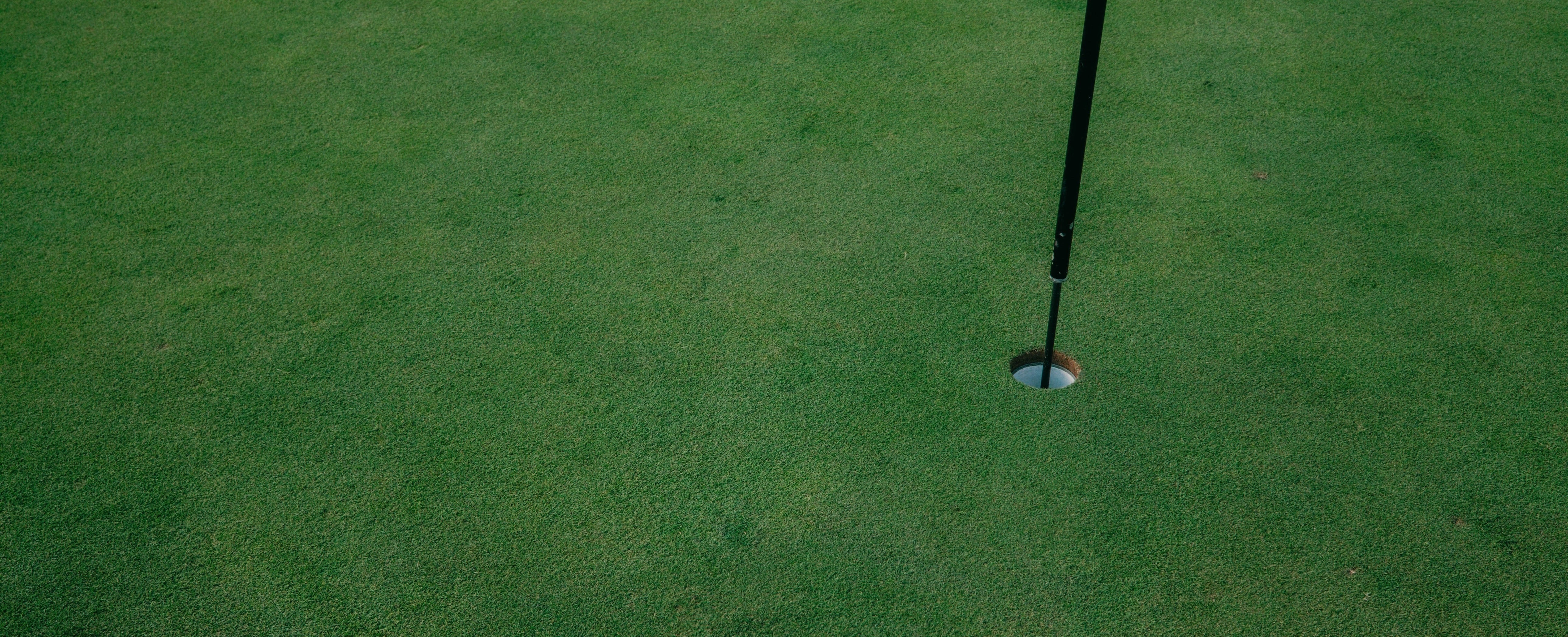 Sugarloaf Social Club