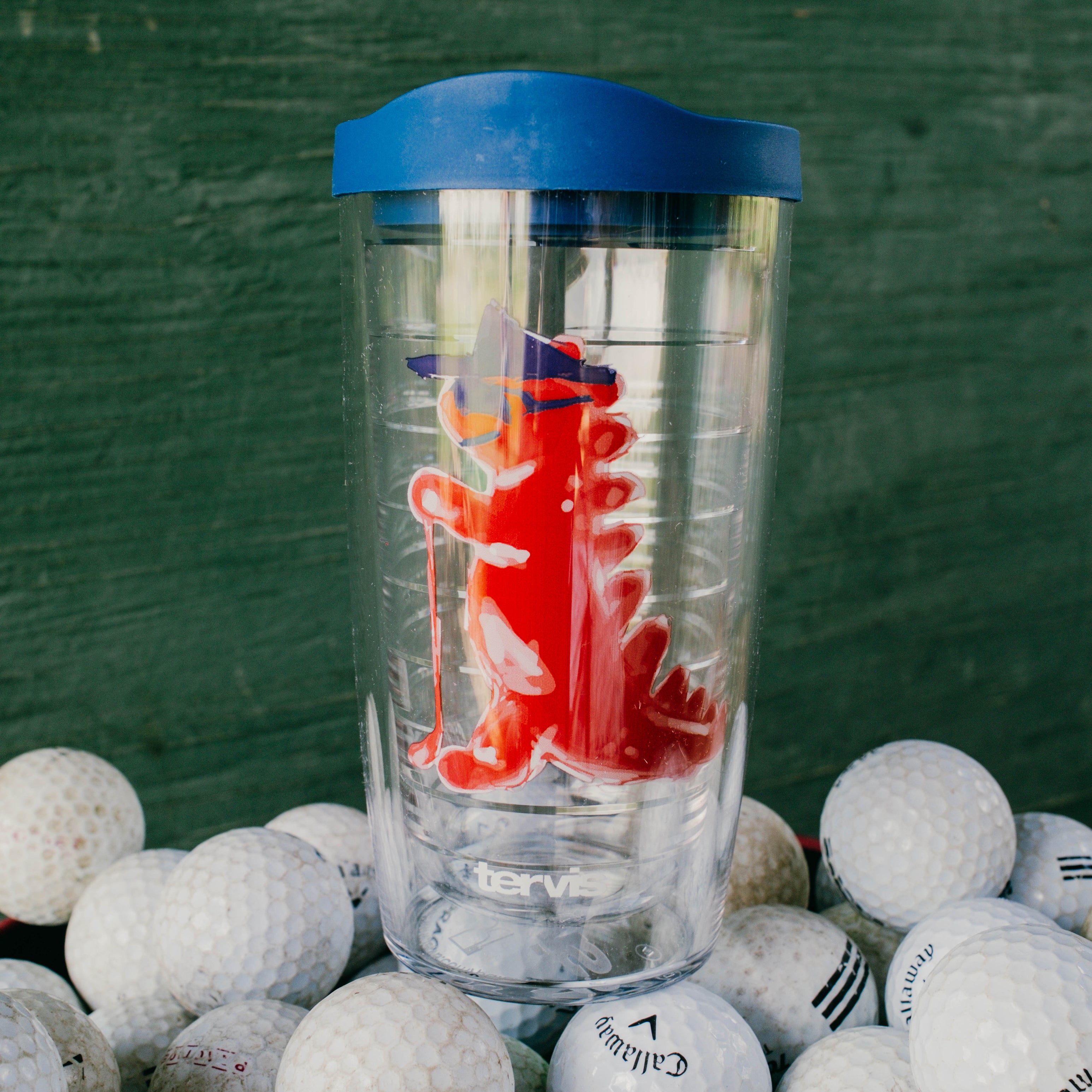 Tervis Tumbler 2-Pack