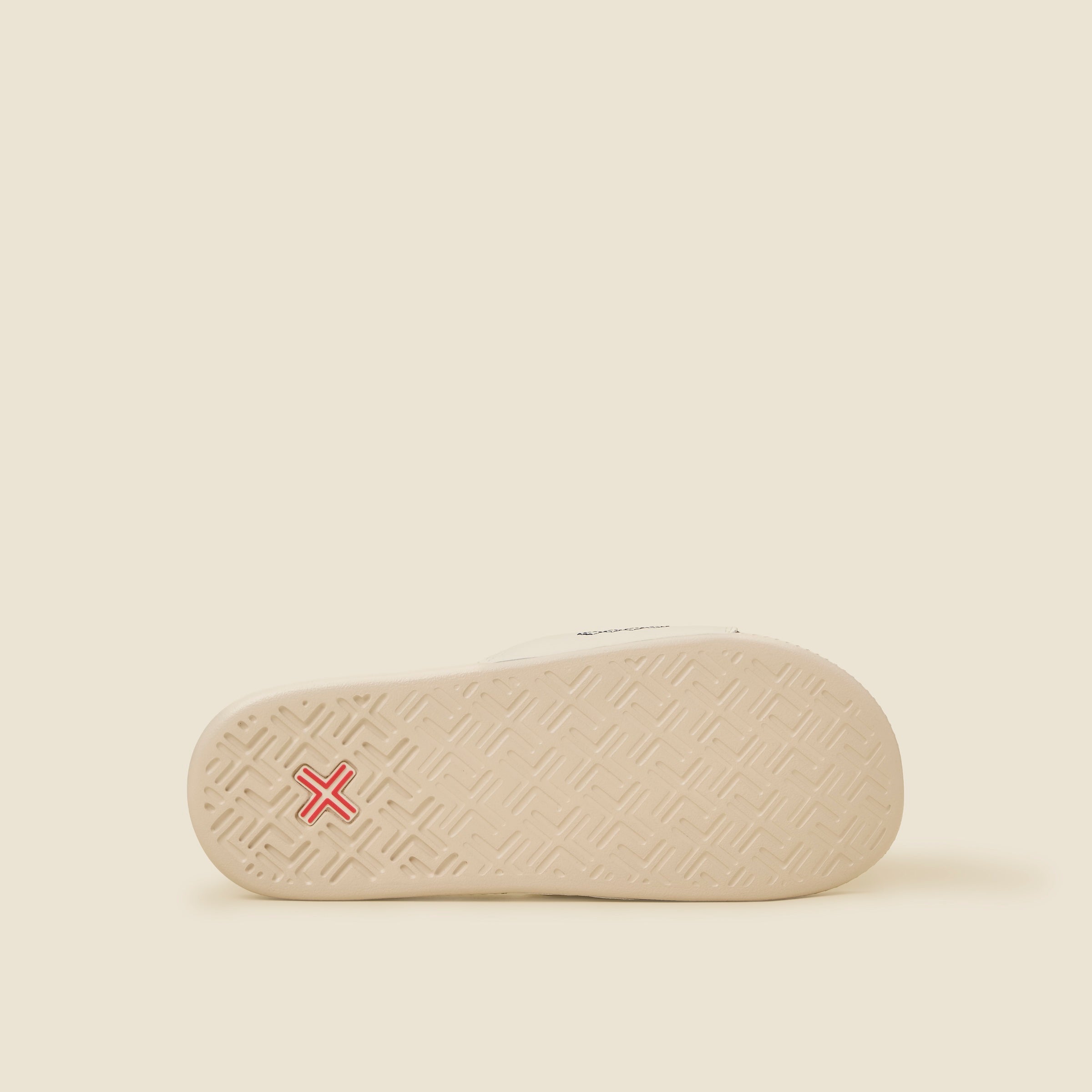 SSC x PAYNTR Summer Slides