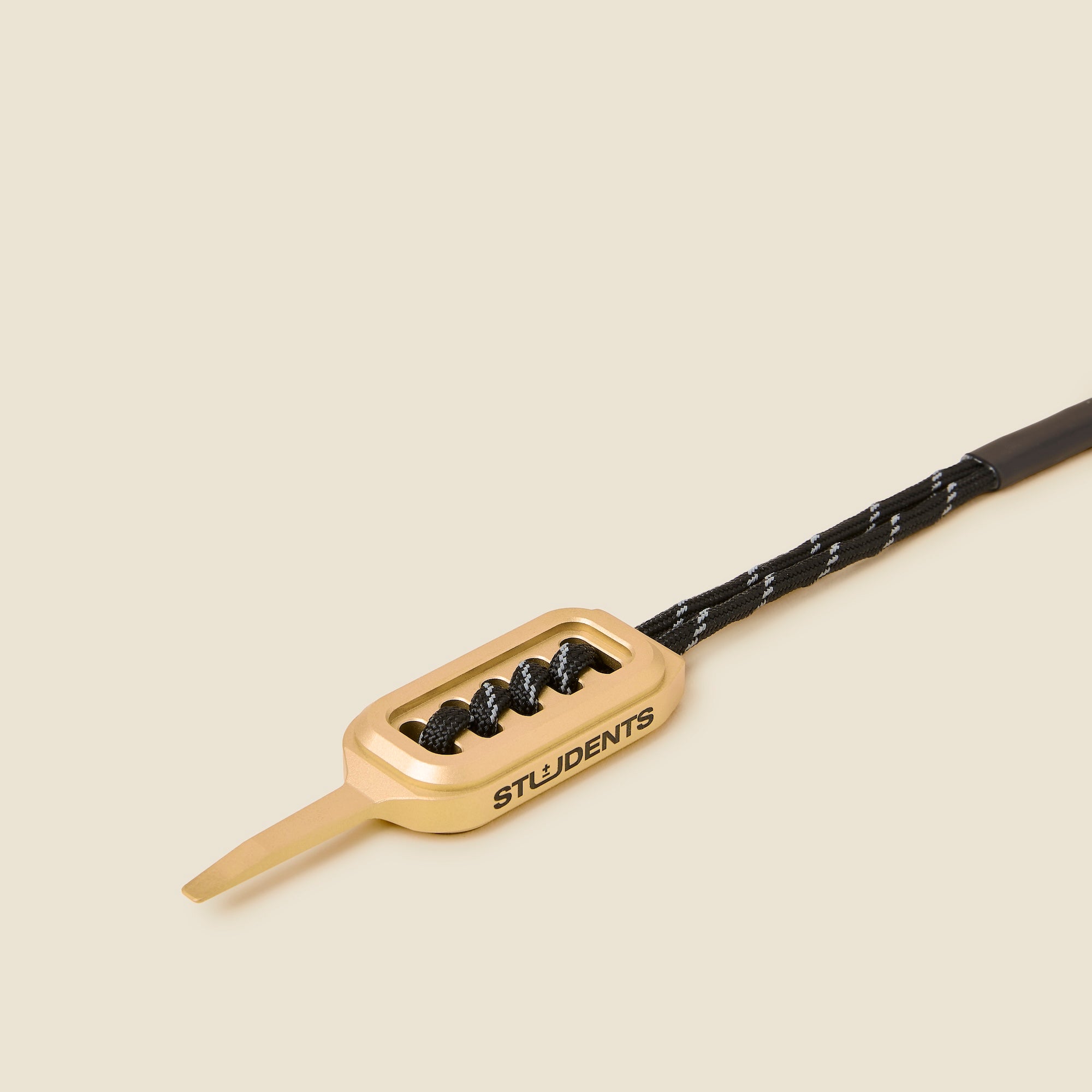 Students of SSC Brass Divot Repair Tool